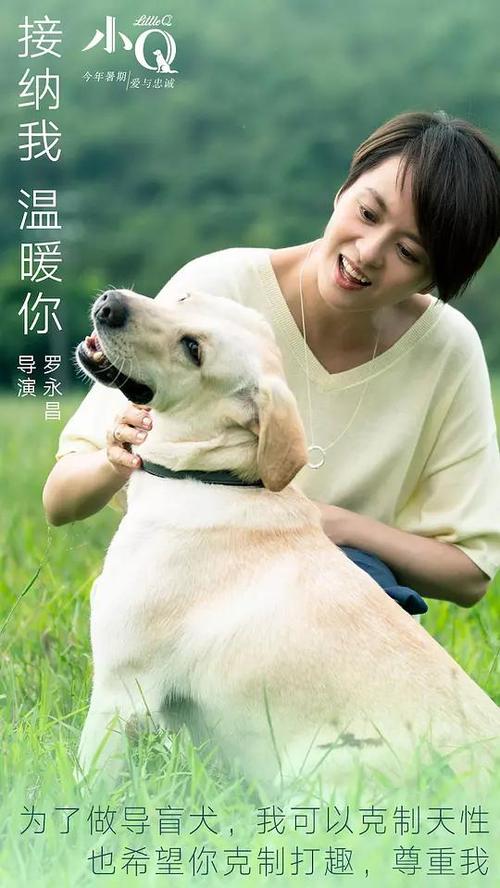 办理直布罗陀大学文凭毕业证